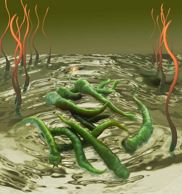Creation of Primitive lake: Step 5